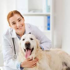 We did not find results for: Edgewood Veterinary Clinic Pet Care Edgewood Wa