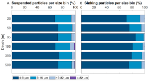 The presence of transparent exopolymer particles rather than ballast  determines sinking of small particles during late summer in the Northeast  Pacific Ocean