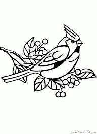 coloriage oiseau de profil sur une branche coloriages oiseaux dessin avion jeu pour adultes