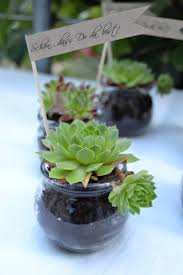 Hochzeit grußkarten gürtel haarreifen haarschmuck halskette handmade hochzeit handschuhe hawaikette heiratsantrag helium herren. Sukkulente Als Gastgeschenk Fur Eure Hochzeit Fur Eure Hochzeit Ein Kreativer Diy Hochzeitsblog