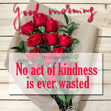 We all know how beautiful flowers are, whenever we look at them, we are happy, the eyes get rest, the mind becomes calm, many times we become sad and then when we see the picture of the flower, the mind becomes happy.and it is also considered auspicious to see a flower in the morning, that means if something looks beautiful and good in the. 2021 Good Morning Beautiful Flower Free Images 111 Ideas Com