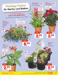 Subscribe to wethrift's email alerts for hair garten and we will send you an email notification every time we discover a new discount code. Netto Marken Discount Aktueller Prospekt 03 06 08 06 2019 9 Jedewoche Rabatte De