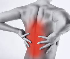 The l5 vertebra is connected to the top of. Middle Back Pain
