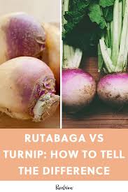 Rutabaga Vs Turnip How To Tell The Difference Between These Yummy Vegetables Turnip Recipes Rutabaga Turnip