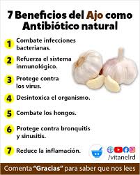 El ajo es un antibiótico natural altamente efectivo gracias a la alicina, un compuesto con propiedades antimicrobianas que ayuda a combatir bacterias, virus y hongos. Consumirlo crudo potencia sus efectos, convirtiéndolo en