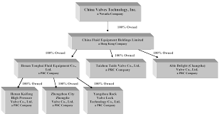 china valves technology inc form 10 k filed by