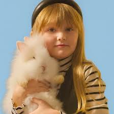 Berlin afternoon sightseeing recommendations