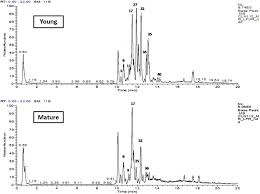 Soak seeds for 24 hours i. Mapping Metabolome Changes In Luffa Aegyptiaca Mill Fruits At Different Maturation Stages Via Ms Based Metabolomics And Chemometrics Sciencedirect