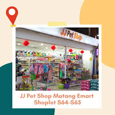Tour the side streets in shanghai china and you'll discover all kinds of interesting sights including little shops selling pets for apartment living. Jj Pet Shop Kuching Home Facebook