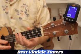 We would like to show you a description here but the site won't allow us. Best Ukulele Tuners Reviews In 2021 Guide To Buy Ukuleles Review