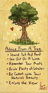 10 Quotes Of The Day Daily Lol Pics Nature Quotes Trees Nature Quotes Quotes For Kids