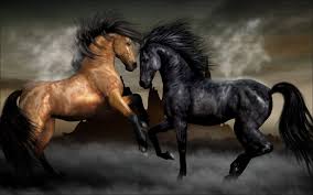 Paint Black And Brown Horse Black Brown Horse Stallion Mustang Rv Trailer Or Wall Mural Decal Decals Graphics Sticker Art Horse Wallpaper Horses Beautiful Horses