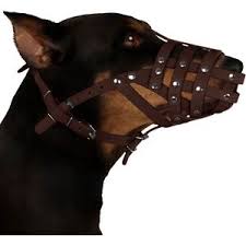 Available in two sizes to fit your dog, this muzzle also has adjustable straps. Collardirect Leather Dog Muzzle For Dalmatian Setter Brown Large Discount Bandit