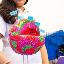 The class of 2022 aren't the only Barons heading to college in the fall!  Saint Mary's Hall is proud to announce that both Assistant Head of School  for Advancement, Jim Bob Womack,