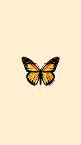 Yellow Orange Butterfly Iphone Wallpaper Yellow Butterfly Wallpaper Iphone Blue Butterfly Wallpaper