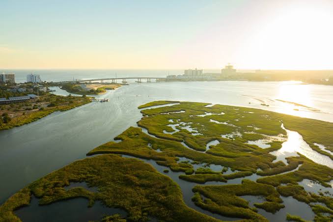 Chesapeake Bay - Visit Virginia Beach