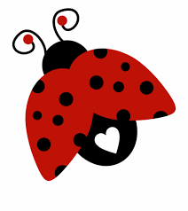 Ladybug Clipart Red Animal Transparent Background Ladybug Png Transparent Png Download 4652062 Vippng Insect ladybird icon, ladybug png. transparent background ladybug png