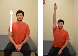 Image result for Shoulder Range of Motion Exercises
