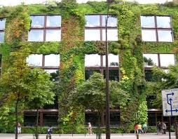Patrick Blanc S Vertical Gardens Vertical Garden Vertical Garden Systems Green Facade