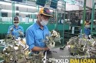 Image result for Đơn hàng gỗ cốp pha nữ đến 35 tuổi 3 năm lương hấp dẫn đi Hungary