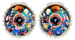 Iridology Diagnosis Chart Pdf Iriscope Iridology Camera