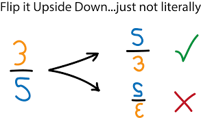 Reciprocals Definition Examples Expii