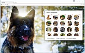 If you do not have experience working with dogs, enroll in obedience classes and. German Shepherd Wallpaper Custom Dogs New Tab