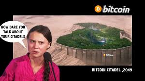 Twitter is actually much more effective in finding memes bitcoin twitter memes support bitcoin and each of their companies will circulate. Bitcoin Meme Hub On Twitter Yo Greta Calm Down 6 15 Bitcoin Is All You Need To Join Us In The Citadel