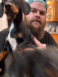 We have moles like crazy in our yard just making a mess. My oldest weiner  dog Bo, while I was just outside walking, was standing very still in the  yard with his