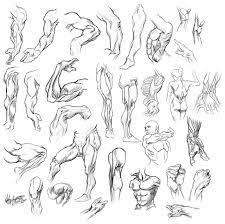 Blog Not Found Anatomy Drawing Practice Anatomy Drawing Drawing Practice
