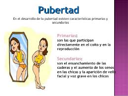 la pubertad