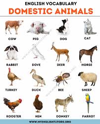 Maybe you would like to learn more about one of these? Farm Animals List Of 15 Animals That Live In The Farm My English Tutors
