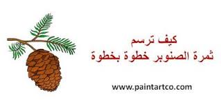 تعليم الرسم للاطفال المتبدئين طريقة رسم كوز الصنوبر بسهولة خطوة بخطوة Pine Cones Movie Posters Drawings