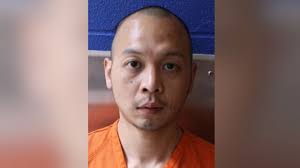 David Nguyen is accused of killing his mother, Terrie Nguyen, in O'Fallon,  Illinois, over the weekend. He was arrested after a police chase near  Kansas City.