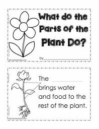 Plant Functions Worksheet Parts Of A Flower Plants Worksheets Plant Activities