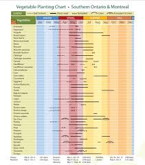 Best Time To Plant Veggies Smurf Pipe Innovativedistricts