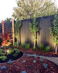 Contemporary Garden Design Installation In Mckinnon Melbourne Japanese Maple Contemporary Garden Design Outdoor Garden Lighting Landscaping Melbourne