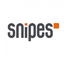 Wesley snipes, wesley snipes brown hat, at the movies, wesley snipes png. Snipes Reklamation Com