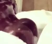 سكس النوم مع خالتي جديد مترجم مقاطع خالية من تهمة سكس النوم مع خالتي جديد مترجم في موقع الإباحية لطيف Extremesexchannels Tv