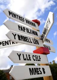 Since it has been found on many carvings throughout europe where the celts travelled though, it may be meant to represent perpetual movement and migration. National Symbols Of Wales Wales Com