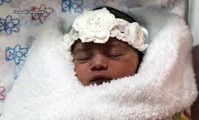 Portada — Página 425