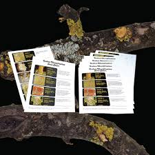 air pollution lichen identification charts