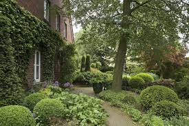 einen geeigneten hausbaum finden das haus haus baume baume garten baum