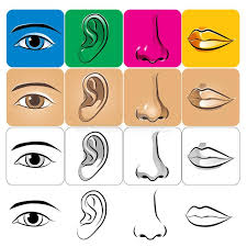 Pin On Vectors Character