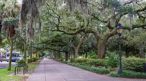 We would like to show you a description here but the site won't allow us. Forsyth Park Savannah Ga Album On Imgur
