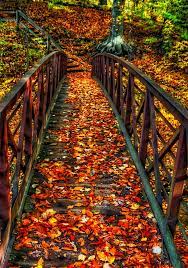 Bridge Remembering Fall Past Autumn Scenery Fall Wallpaper October Country
