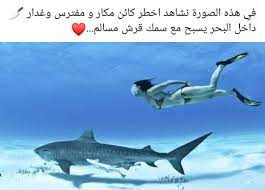 pin by mahmoud mustafa on arabic quotes beautiful quotes arabic quotes quotes