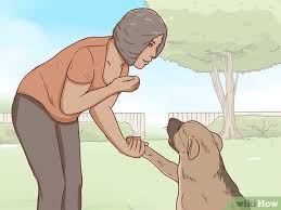 The easiest way will be to pair buttons. How To Communicate With Your Dog With Pictures Wikihow