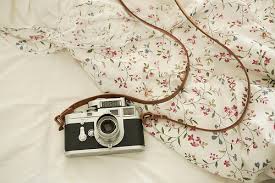 Résultat de recherche d'images pour "aquamarine122"