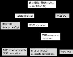 We did not find results for: Http Zoketsushogaihan Com File Guideline H28 04 Pdf